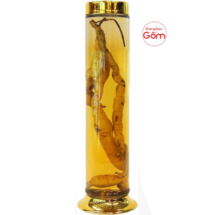 Bình thủy tinh ngâm rượu 40l mua ở đâu? GIÁ BAO NHIÊU?