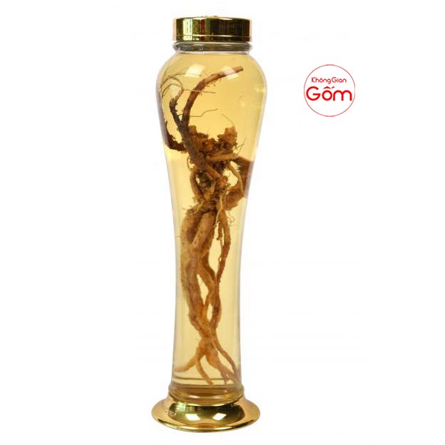 Bình ngâm rượu hàn quốc 5lit .>>> XEM BẢNG GIÁ