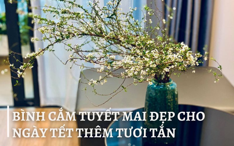 Bình cắm tuyết mai đẹp
