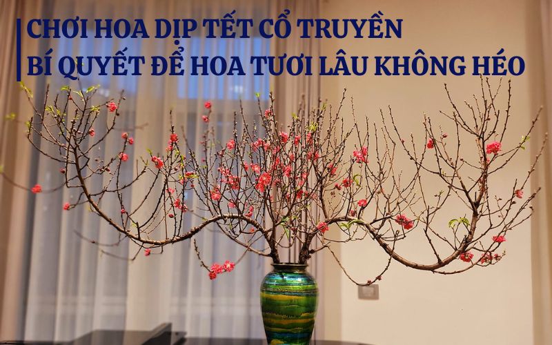 Bí quyết chơi hoa dịp Tết tươi lâu không héo