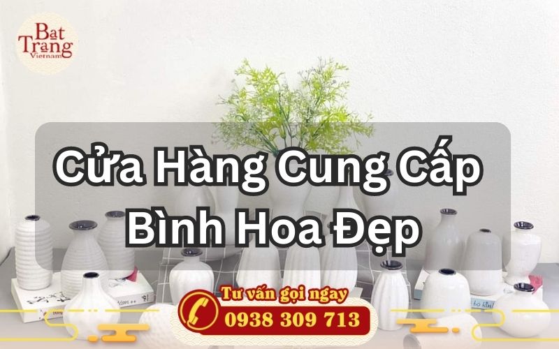 Cửa Hàng Cung Cấp Bình Hoa Đẹp